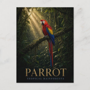 Parrot Tropical Rainforests Wildlife ANIMAL Postcard