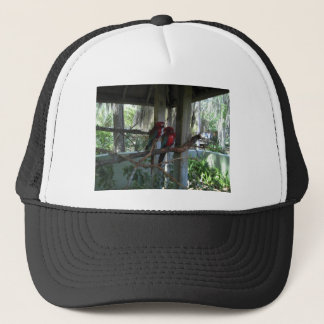 Parrot Trucker Hat