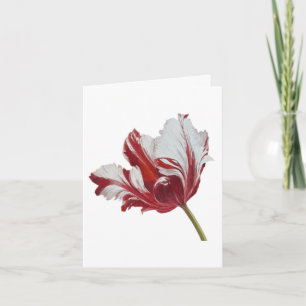 Parrot Tulip Card