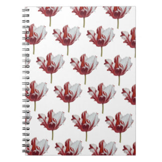 Parrot Tulip Fine Art Print Notebook