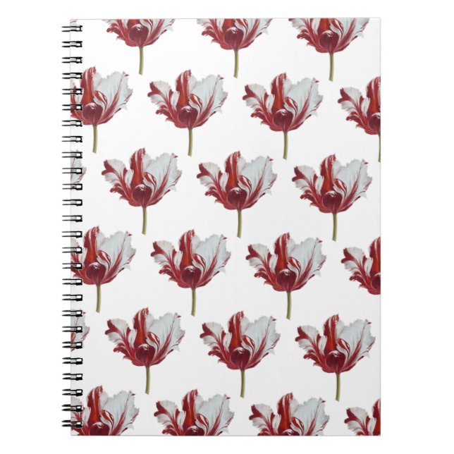 Parrot Tulip Fine Art Print Notebook (Front)