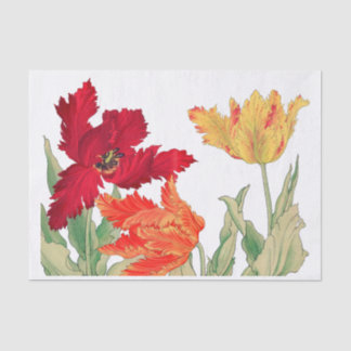 Parrot tulip, Floral Decoupage Tissue Paper