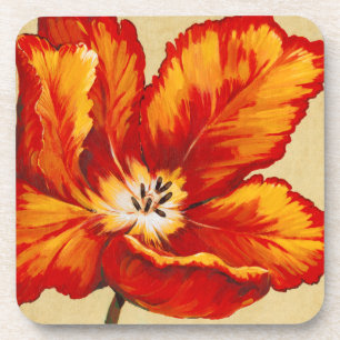 Parrot Tulip I Coaster