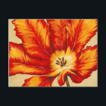 Parrot Tulip II Postcard<br><div class="desc">Floral</div>