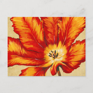Parrot Tulip II Postcard