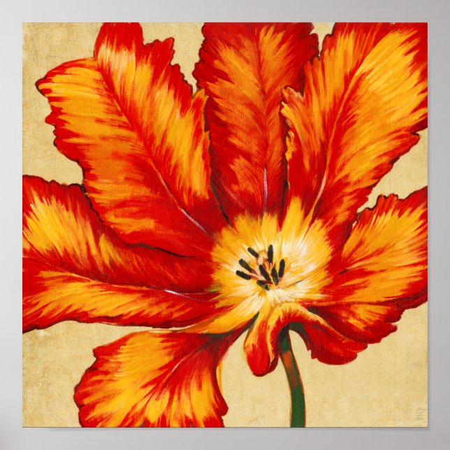 Parrot Tulip II Poster (Front)