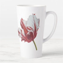 Parrot Tulip