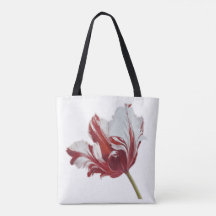 Parrot Tulip long