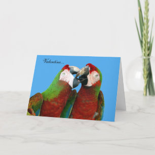 Parrot Valentine Card