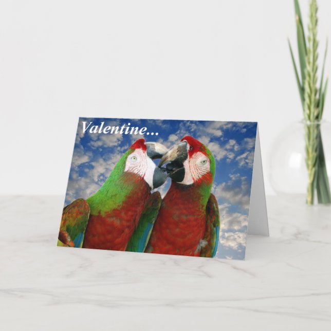 Parrot Valentine Card 003 (Front)