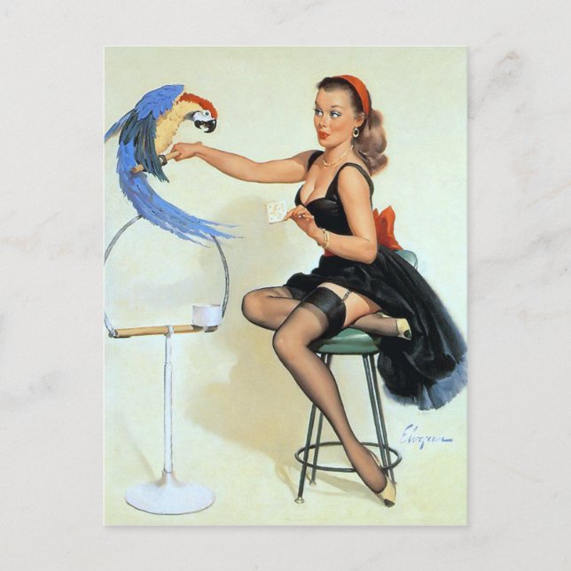 Parrot Vintage Pin Up Postcard (Front)