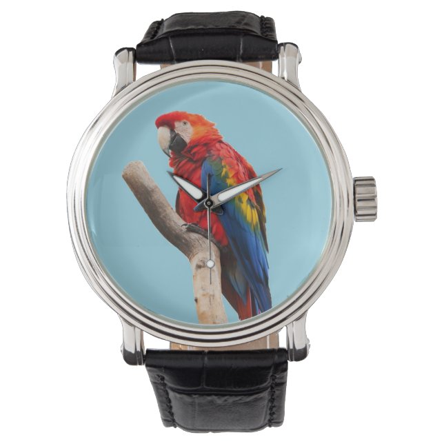Parrot Watch (Front)
