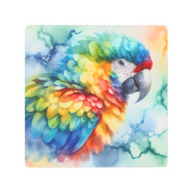 Parrot Watercolor