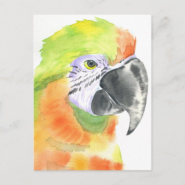 Parrot watercolor postcard (Front)