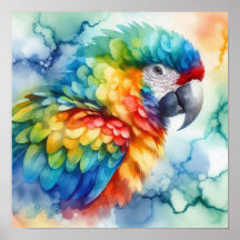 Parrot Watercolor