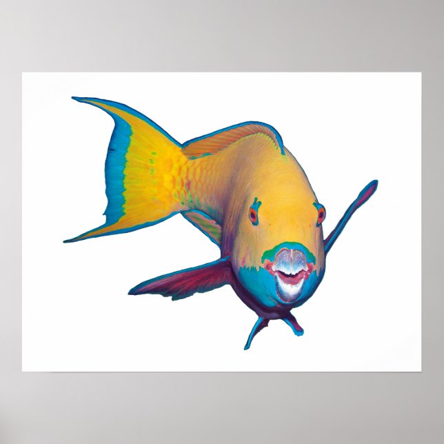 Parrotfish - Abstract Design - Cut out of photo |  Poster (Front)