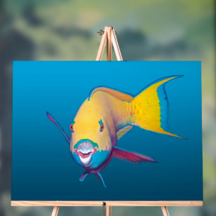 Parrotfish Close-up! Gradient blue background Acrylic Sign