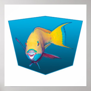 Parrotfish - Design gradient blue background Poster