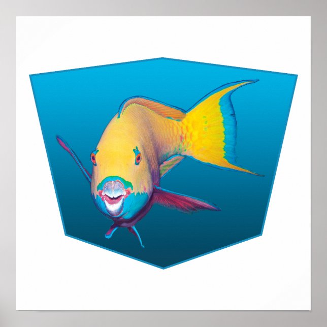 Parrotfish - Design gradient blue background |  Poster (Front)
