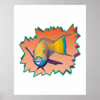Parrotfish on Apricot * Starburst Cut Out | Poster