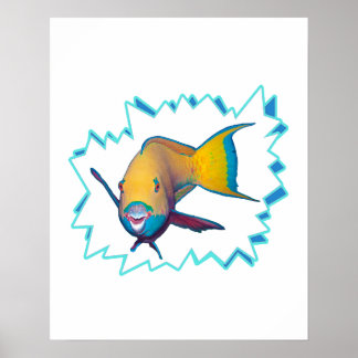 Parrotfish * Starburst Cut Out | Poster