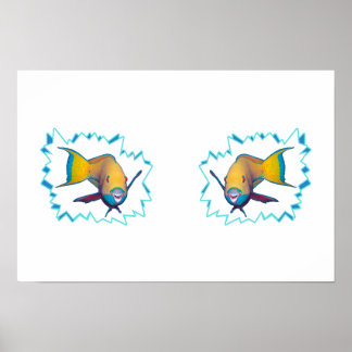 Parrotfish * Starburst Cut Out | Poster