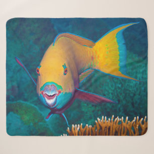 Parrotfish - Striking Make-Up! Colourful photo Sherpa Blanket