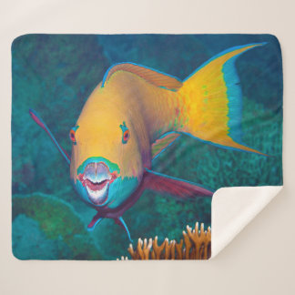 Parrotfish - Striking Make-Up! Colourful photo |  Sherpa Blanket