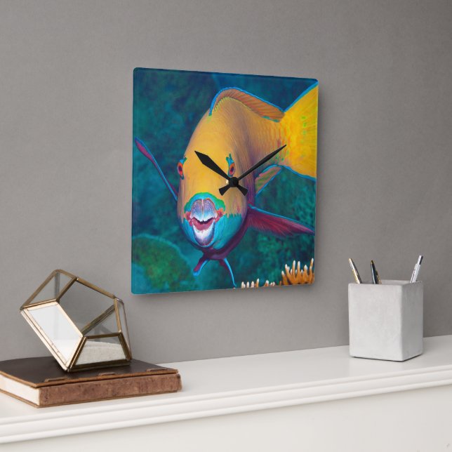Parrotfish - Striking Make-Up! Colourful photo |  Square Wall Clock (Office)