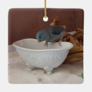 Parrotlet Bath Ceramic Ornament