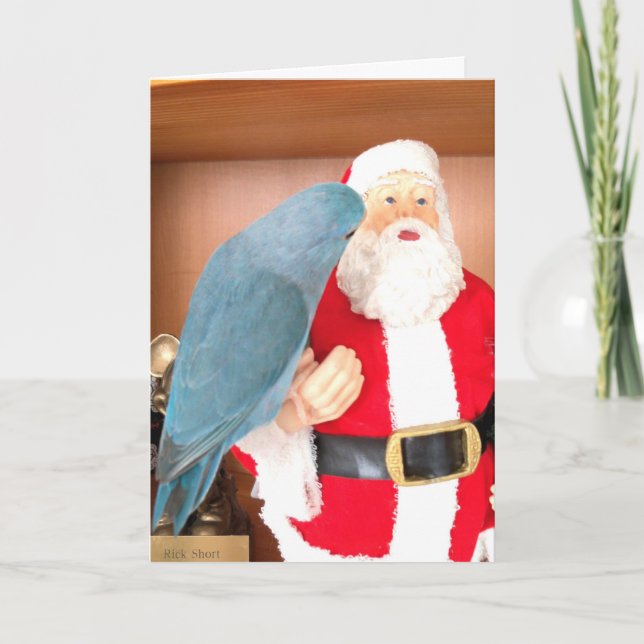 Parrotlet Bird visiting Santa Claus Christmas Card (Front)