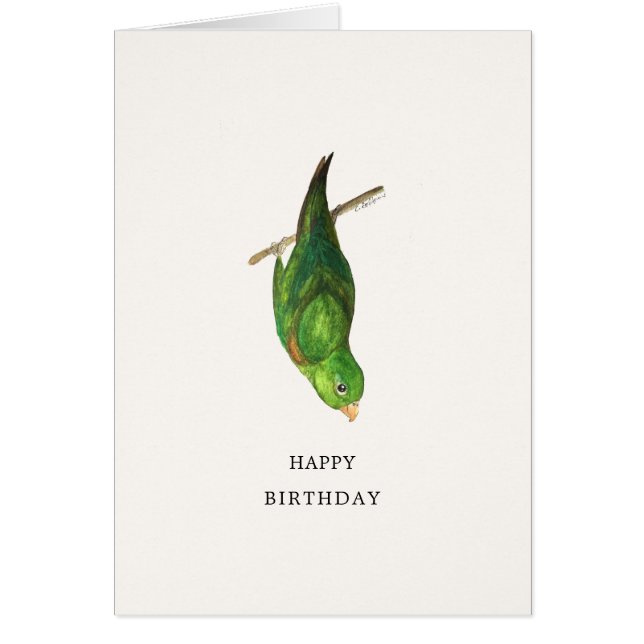 Parrotlet Happy Birthday Card (Front)