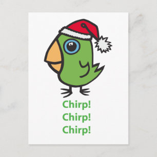 Parrotlet in Santa hat Holiday Postcard