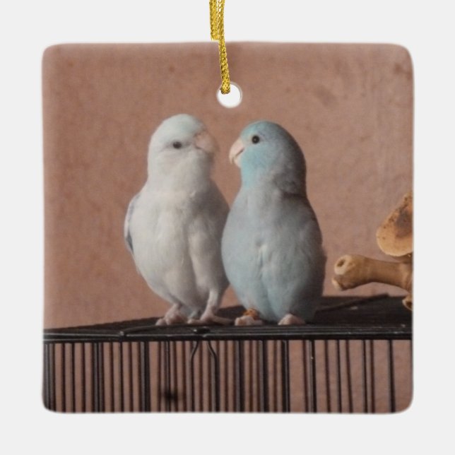 Parrotlet Pair Ceramic Ornament (Front)