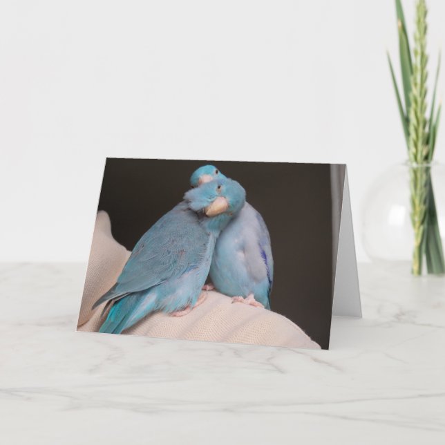 Parrotlet Pals Pacific Blue Birds Greeting Card (Front)