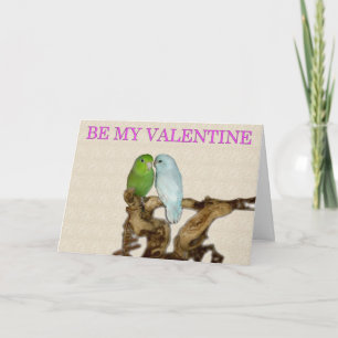 Parrotlet Valentine Holiday Card