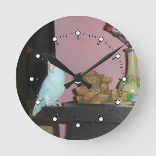 Parrotlet Wall Clock** Read description Round Clock