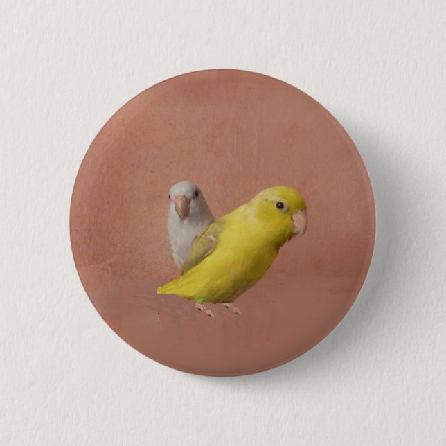 Parrotlets 6 Cm Round Badge (Front)