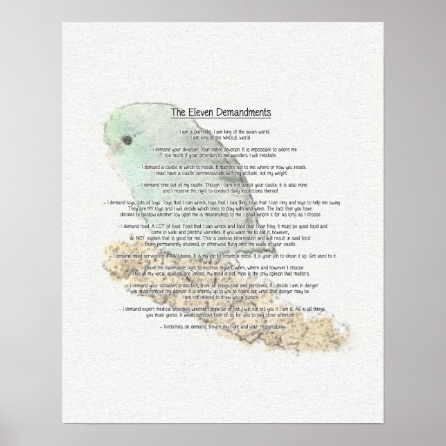 Parrotlets' Eleven Demandments Poster (Front)