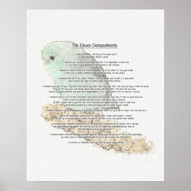 Parrotlets' Eleven Demandments Poster (Front)