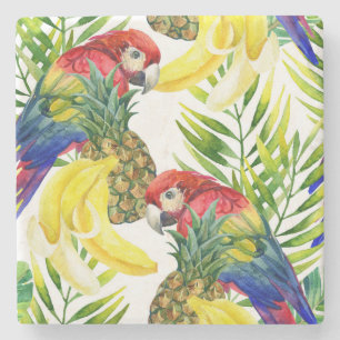 Parrots And Tropical Fruit Stone Coaster