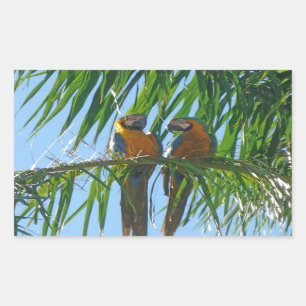 Parrots- Blue and Gold Macaws Rectangular Sticker