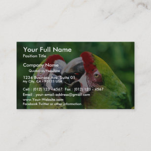 Parrots Business Card
