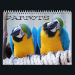 Parrots Calendar<br><div class="desc">Parrots Calendar.  This calendar features high resolution of some of the most beloved birds in the pet world.  Enjoy.</div>