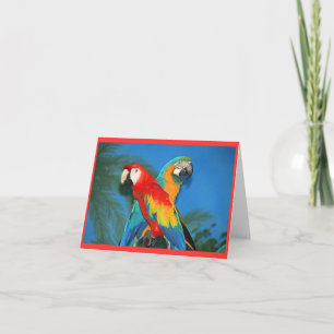 Parrots Card