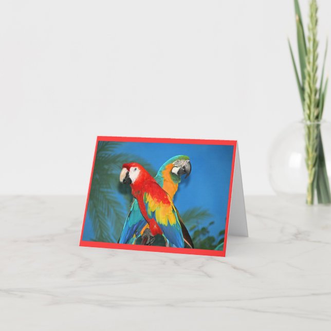 Parrots Card (Front)