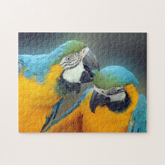 Parrots in love jigsaw puzzle (Horizontal)
