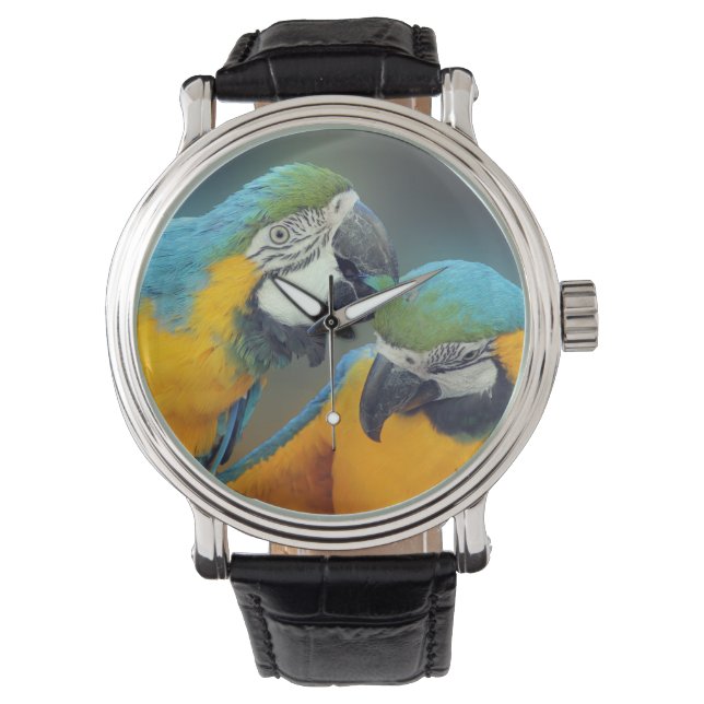Parrots in love watch (Front)