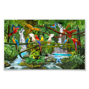 PARROTS IN PARADISE PHOTO PRINT