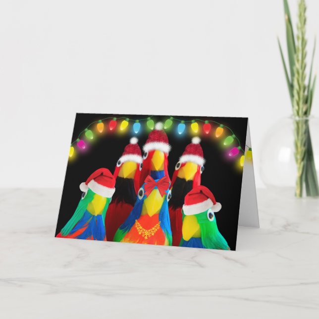 Parrots Love Christmas  Holiday Card (Front)